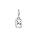 Charm-Anhänger Sternzeichen Fische mit Steinen Silber