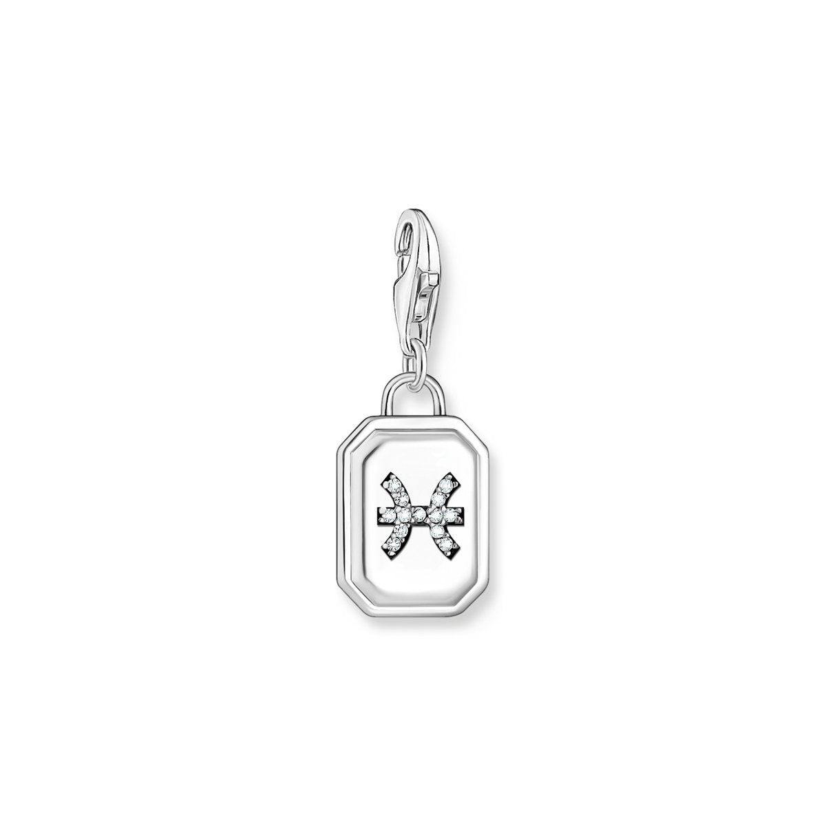 Charm-Anhänger Sternzeichen Fische mit Steinen Silber