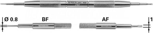 Bergeon Federsteg