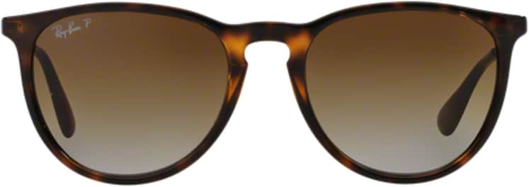 Ray-Ban RB4171 Erika