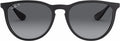 Ray-Ban RB4171 Erika