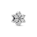 Funkelndes Herbarium Cluster Charm