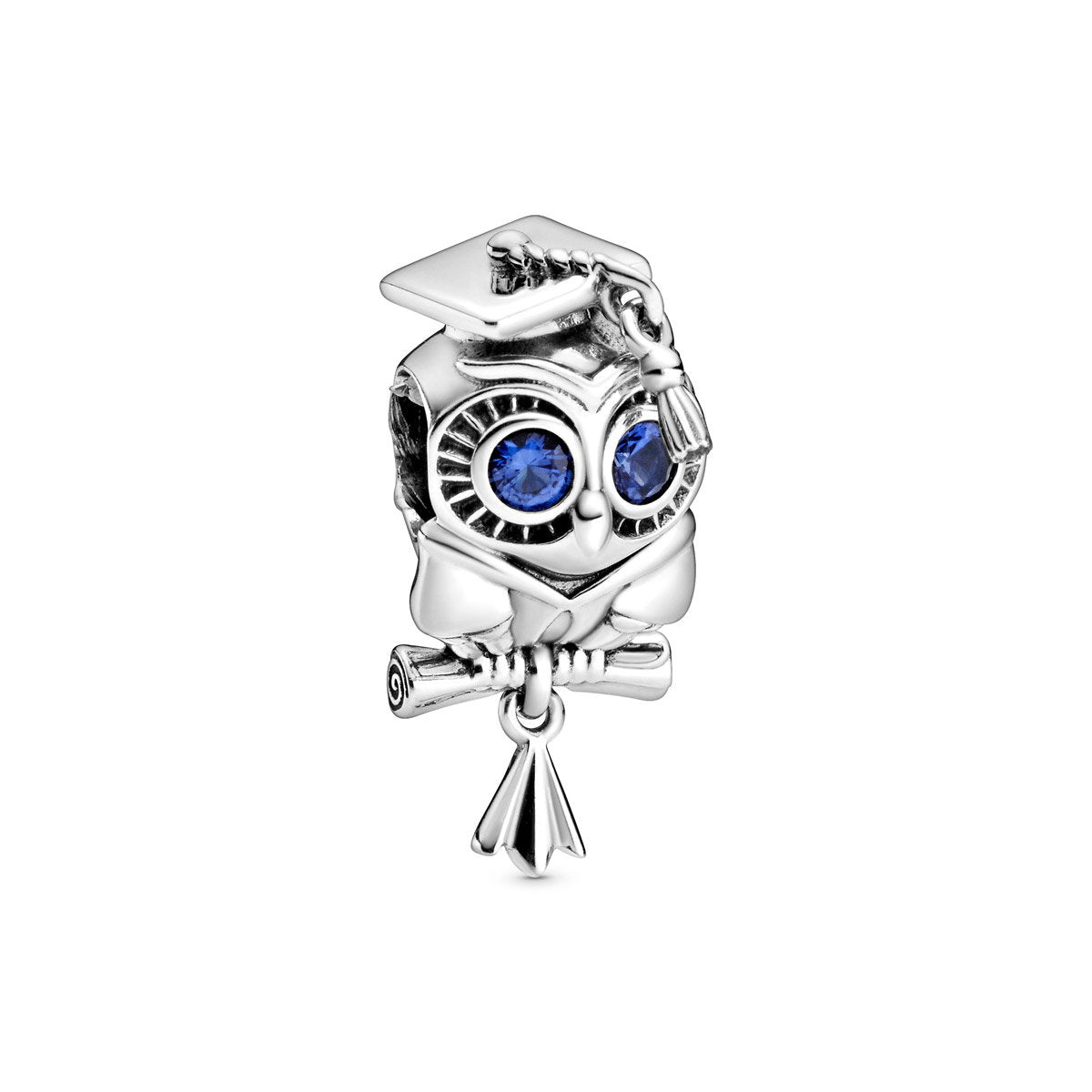 Weise Eule Schulabschluss Charm